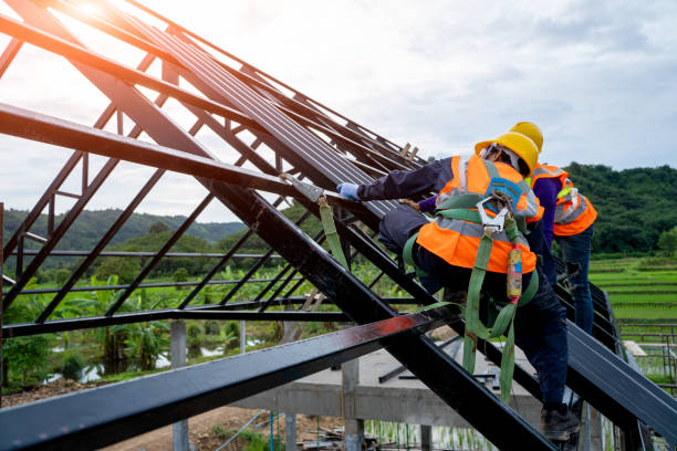 Best Roof Gutter Cleaning  in Sheffield, AL