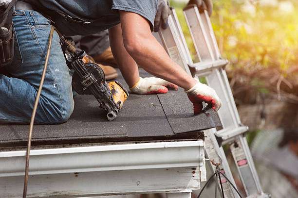 Professional Roofing Contractor in Sheffield, AL